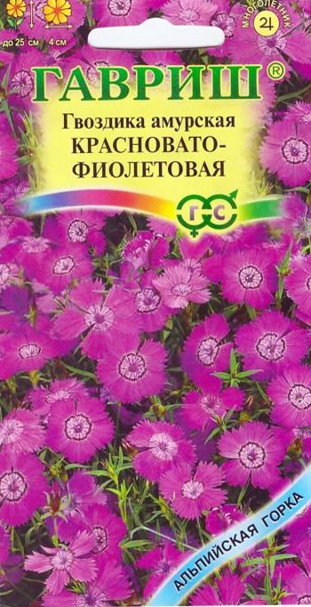 Гвоздика амурская Красновато-фиолетовая